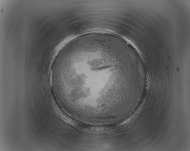 X0000086301371200704091010