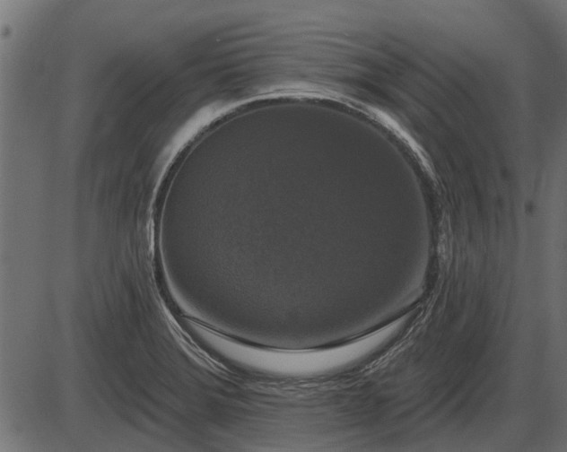 X0000086301372200704091010