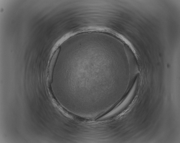 X0000086301373200704091010