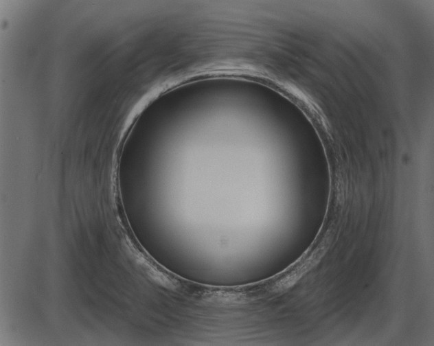 X0000086301374200704091010