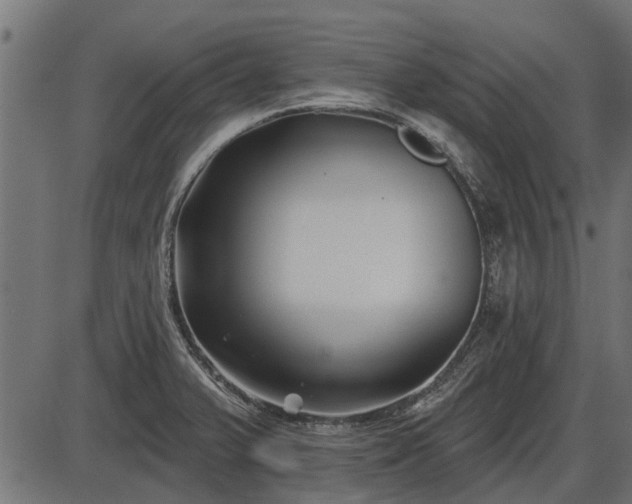 X0000086301375200704091010