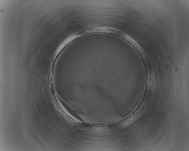 X0000086301378200704091010