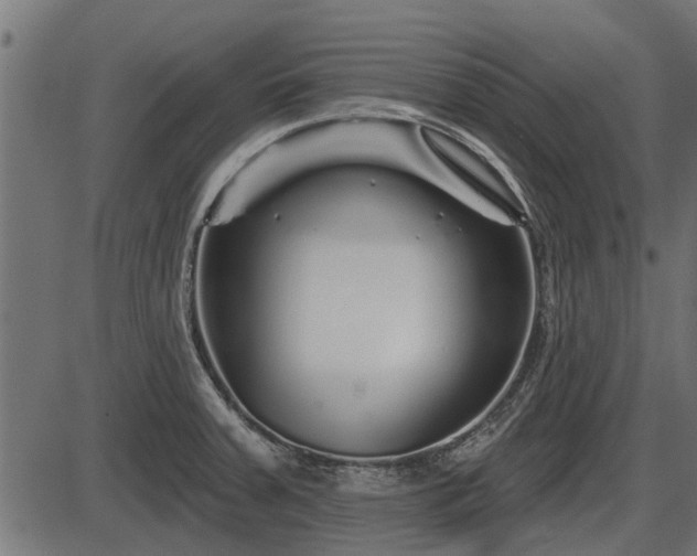 X0000086301379200704091010