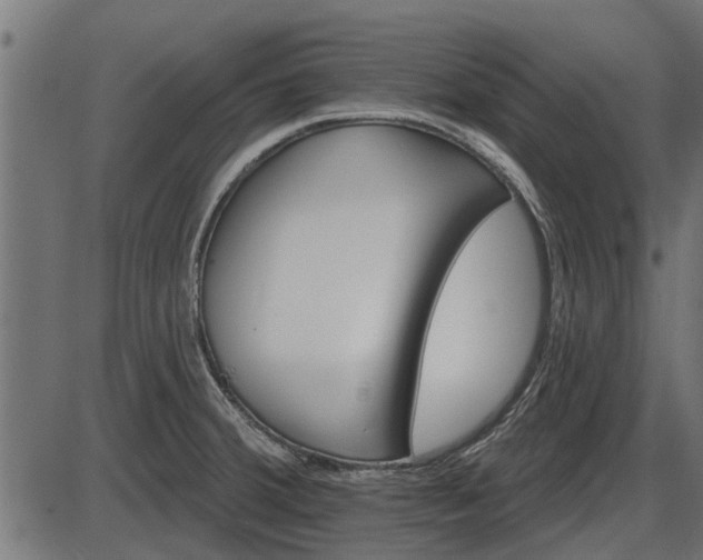 X0000086301380200704091010