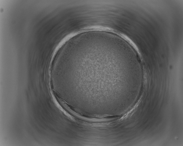 X0000086301381200704091010