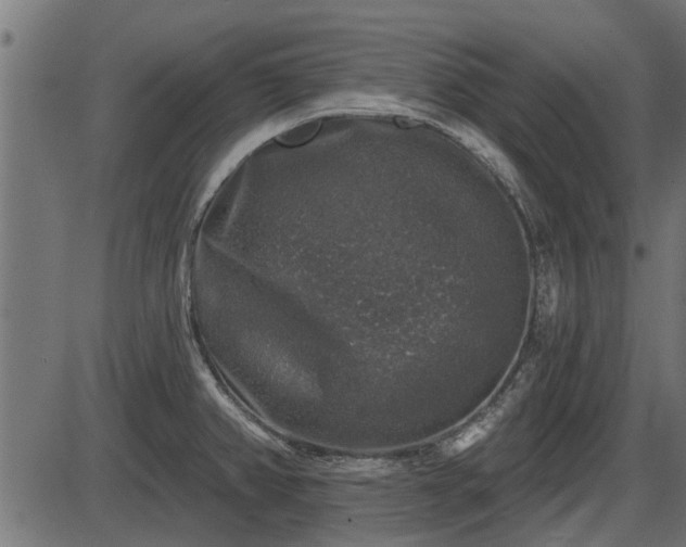 X0000086301382200704091010