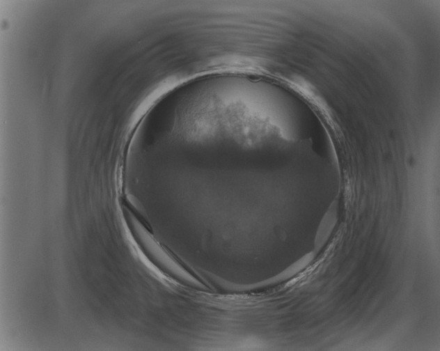 X0000086301383200704091010