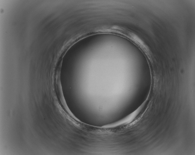 X0000086301384200704091010