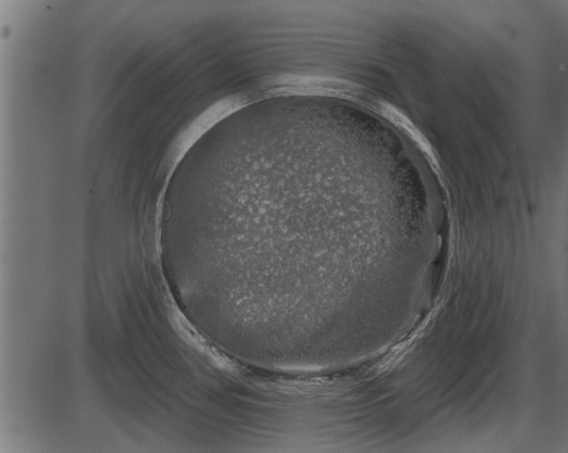 X0000086301386200704091010