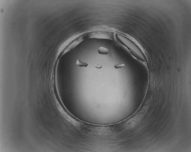 X0000086301387200704091010