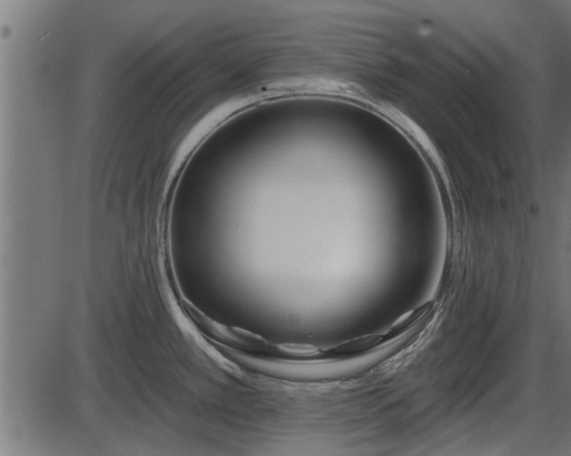 X0000086301389200704091010