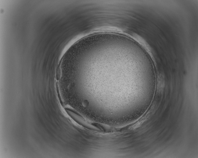 X0000086301390200704091010