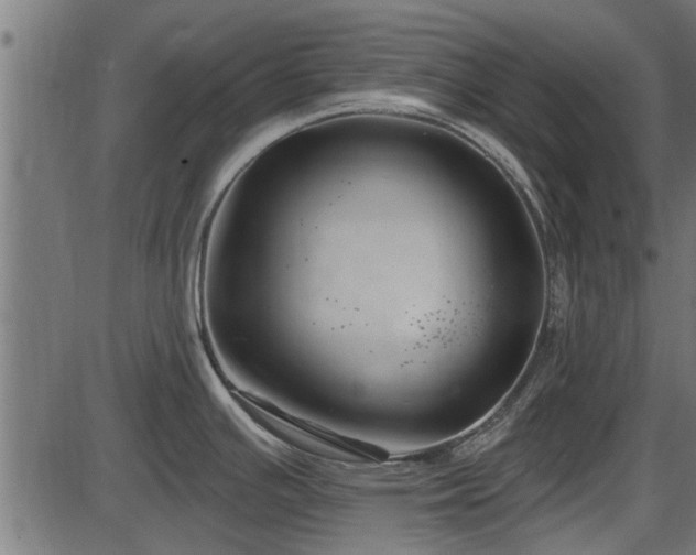 X0000086301391200704091010