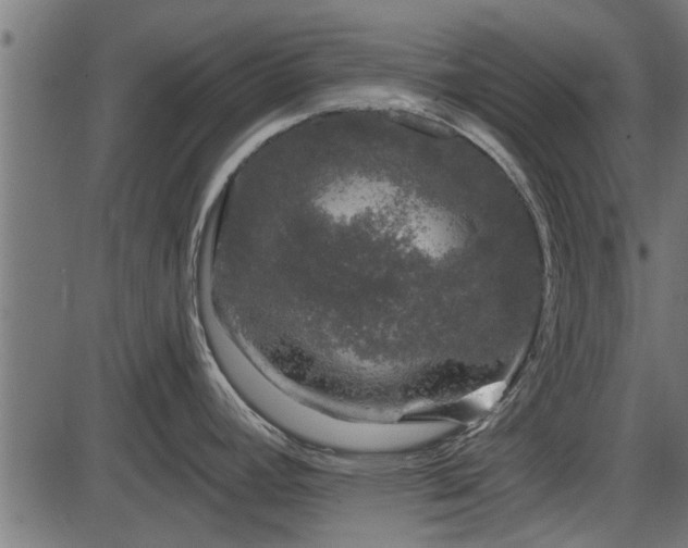 X0000086301392200704091010