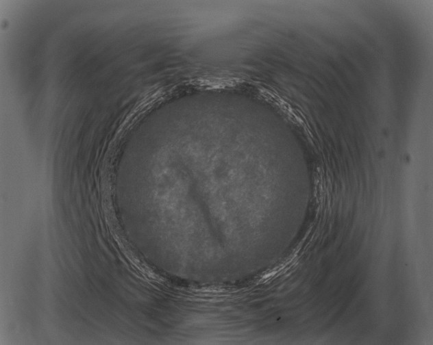 X0000086301393200704091009