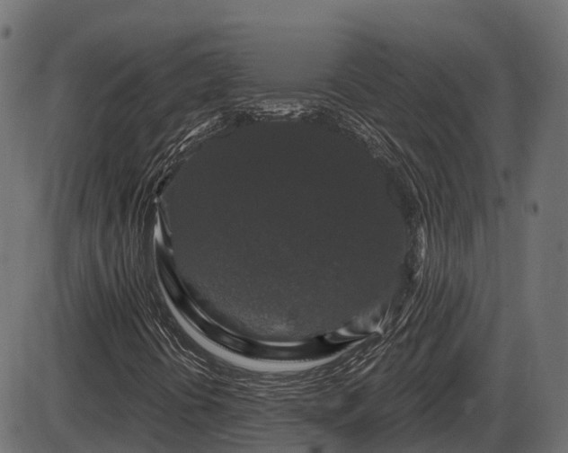 X0000086301394200704091009