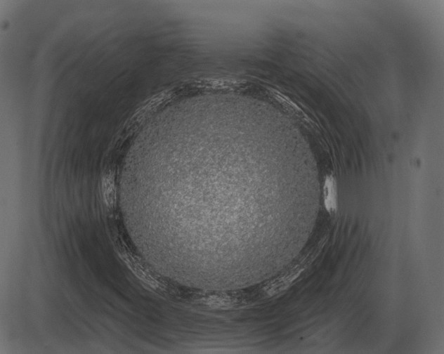 X0000086301395200704091009