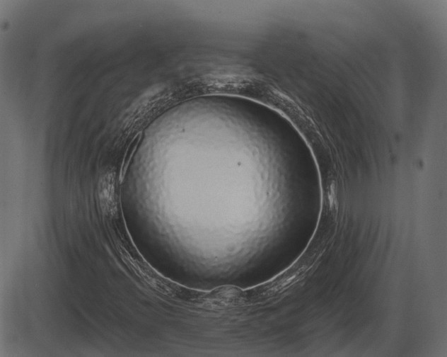 X0000086301396200704091009