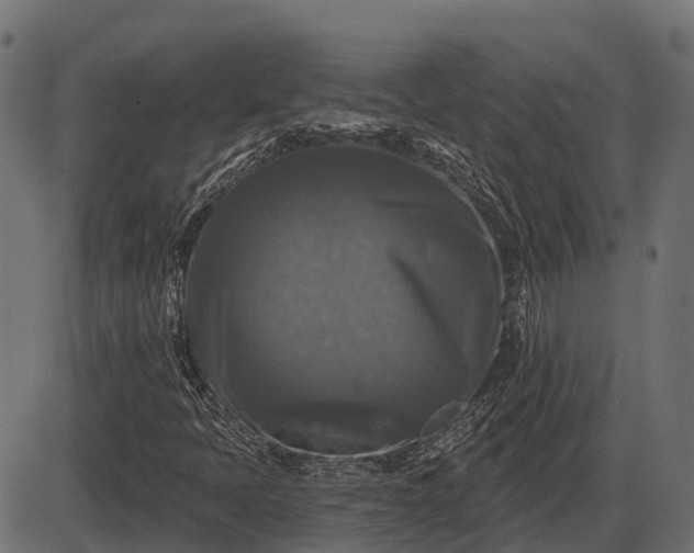 X0000086301397200704091009