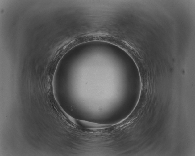 X0000086301398200704091009