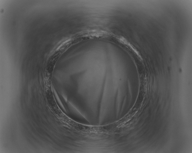 X0000086301399200704091009