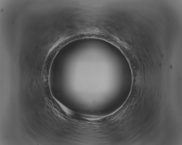 X0000086301400200704091009