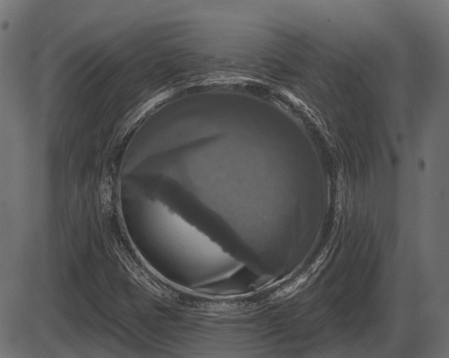 X0000086301401200704091009