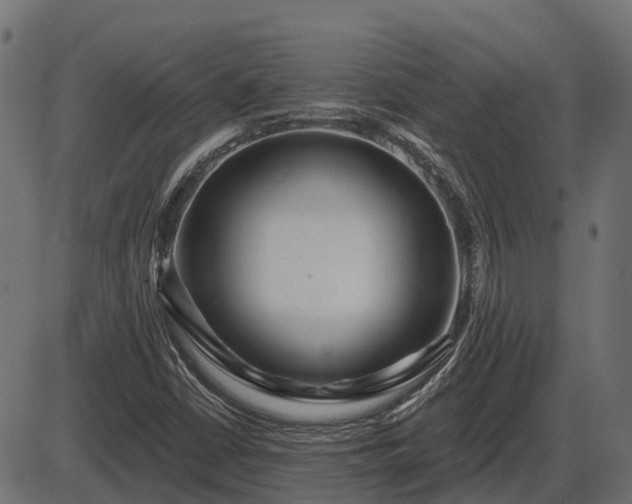 X0000086301402200704091009