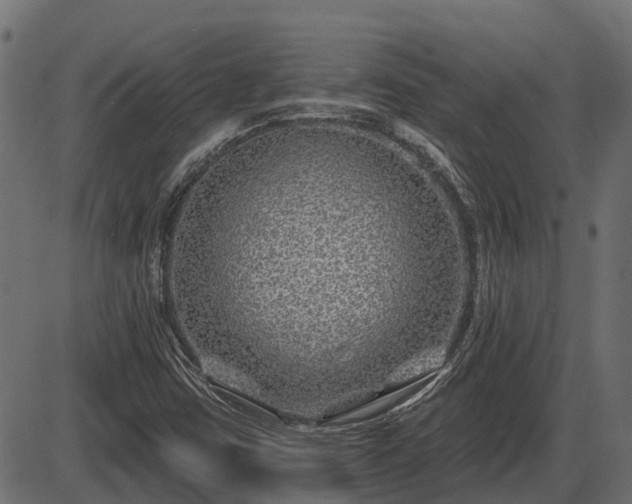 X0000086301403200704091009