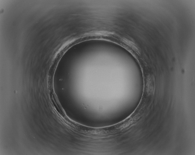 X0000086301404200704091009