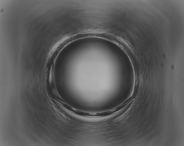 X0000086301406200704091009