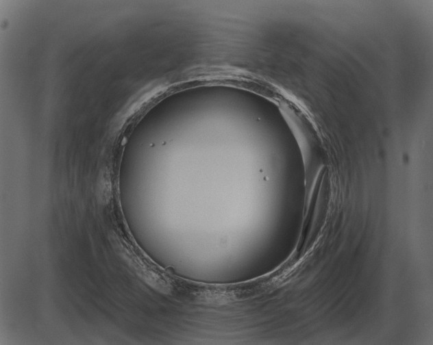 X0000086301407200704091009