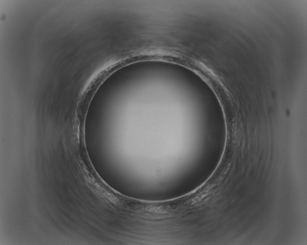 X0000086301408200704091009