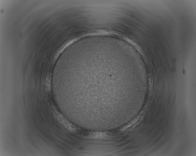 X0000086301409200704091009