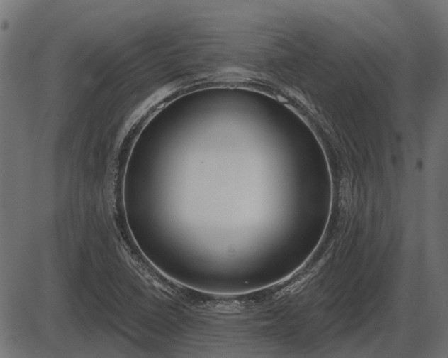 X0000086301410200704091009