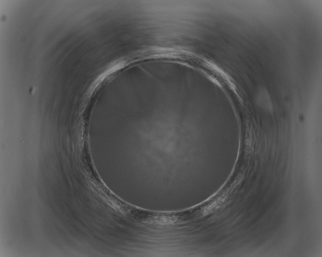 X0000086301411200704091009