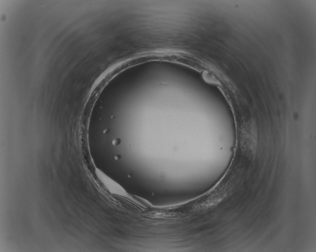 X0000086301412200704091009