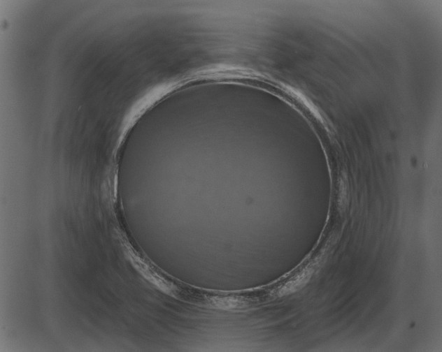 X0000086301413200704091009