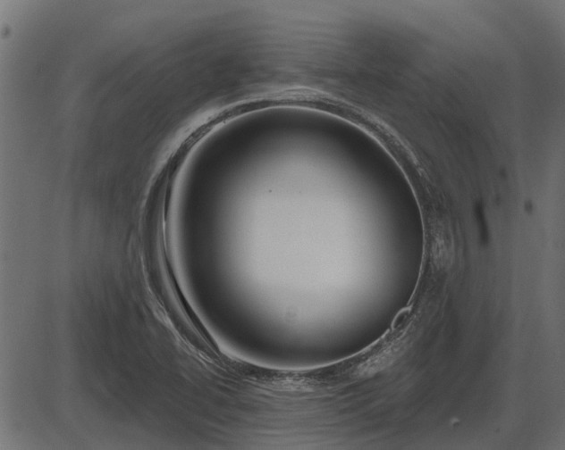 X0000086301414200704091009