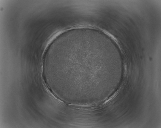 X0000086301415200704091009