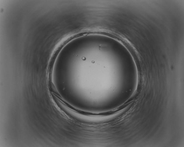 X0000086301416200704091009