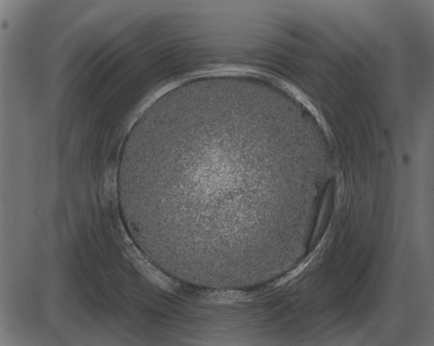 X0000086301417200704091009