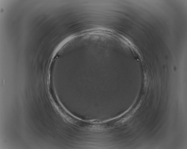 X0000086301418200704091009