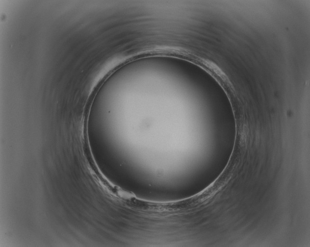 X0000086301420200704091009