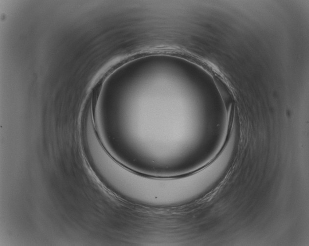 X0000086301422200704091010