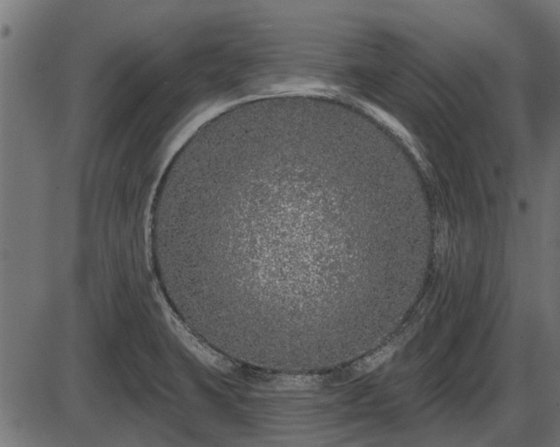 X0000086301423200704091010