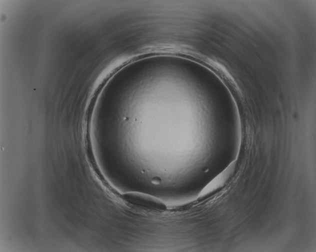 X0000086301424200704091010