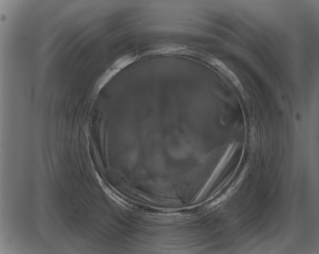 X0000086301425200704091010