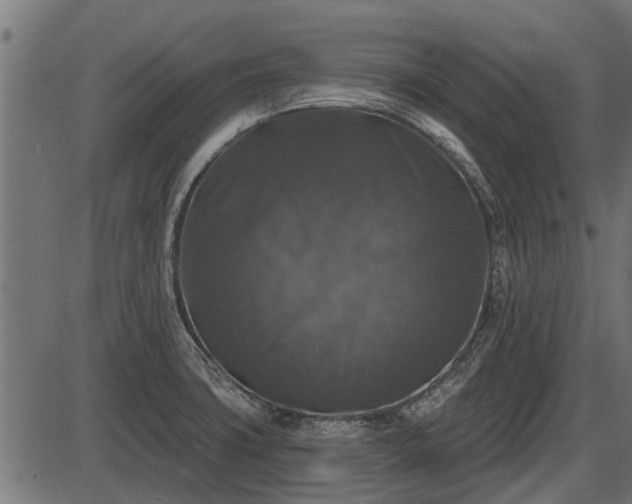 X0000086301427200704091010