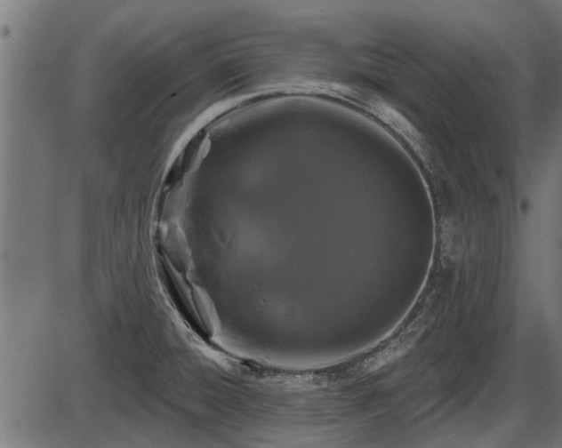 X0000086301428200704091010